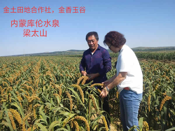 活动照片