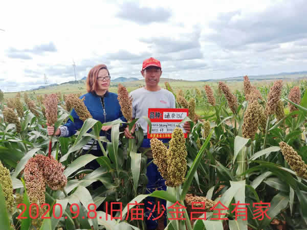 活动照片