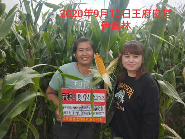 活动照片
