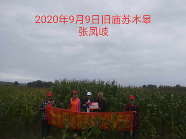 活动照片