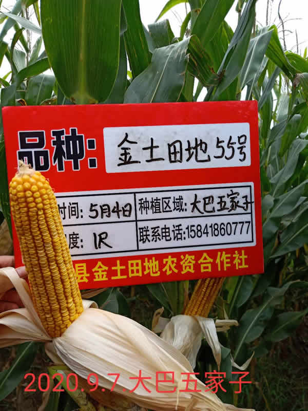 活动照片