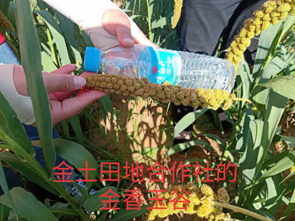 活动照片
