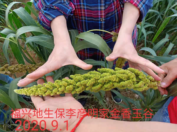 活动照片