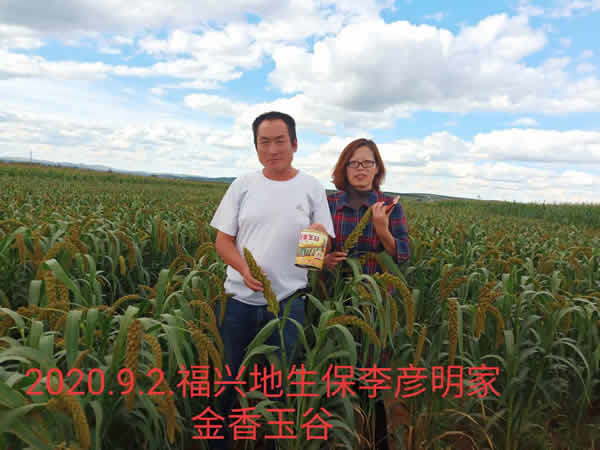 活动照片