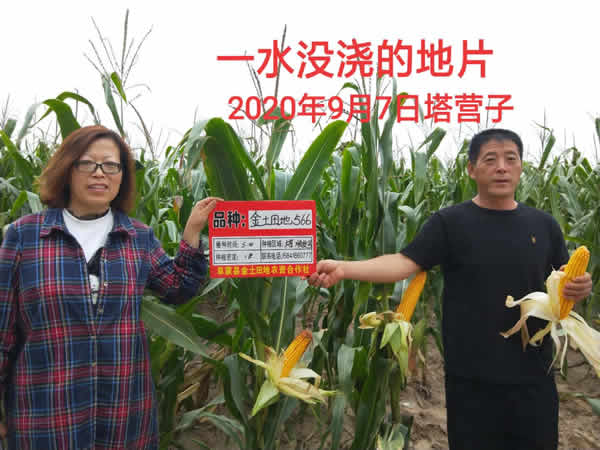 活动照片
