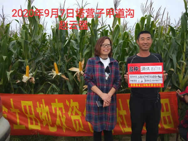 活动照片