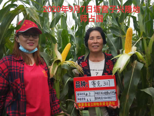 活动照片