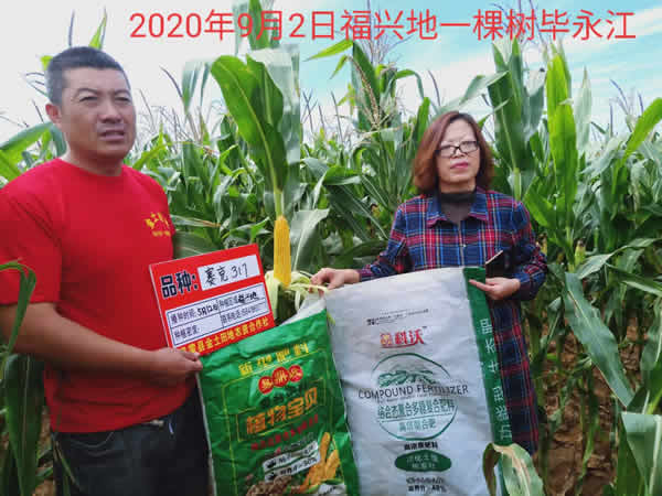 活动照片