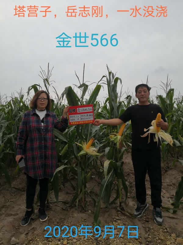 活动照片