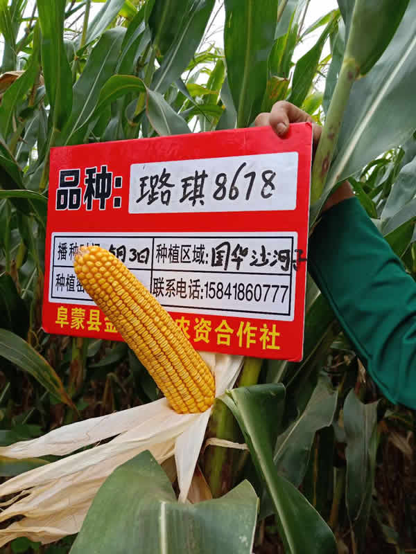 活动照片