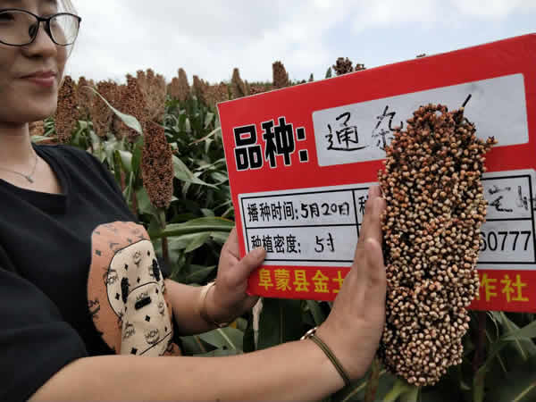 活动照片