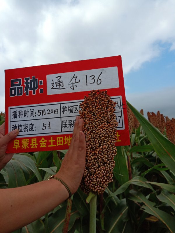 活动照片