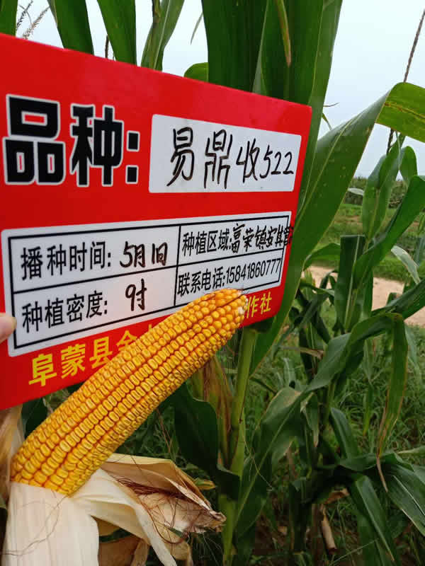 活动照片