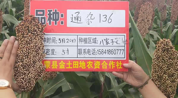 活动照片
