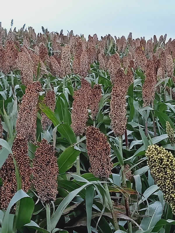 活动照片
