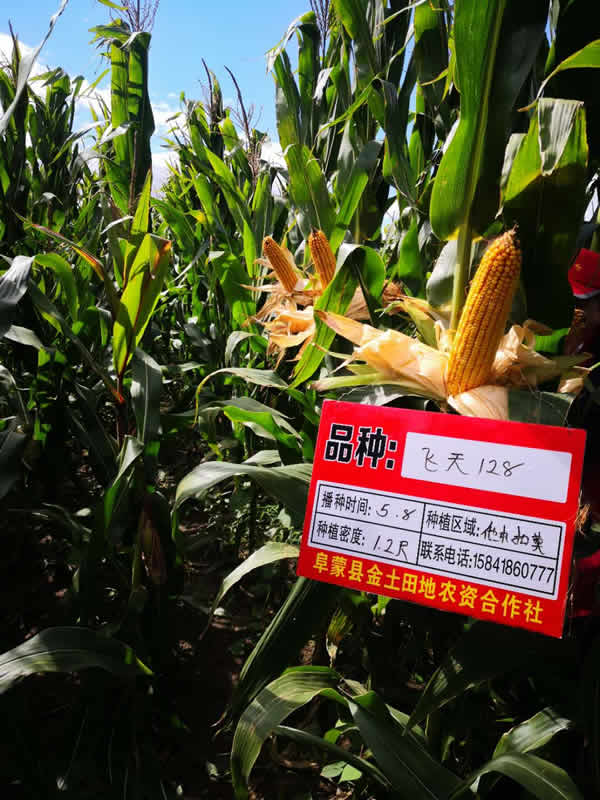 活动照片