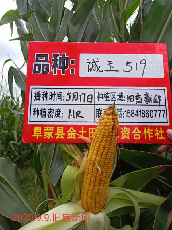 活动照片