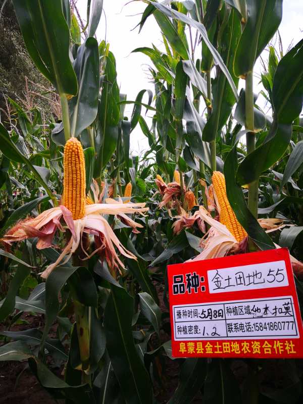 活动照片