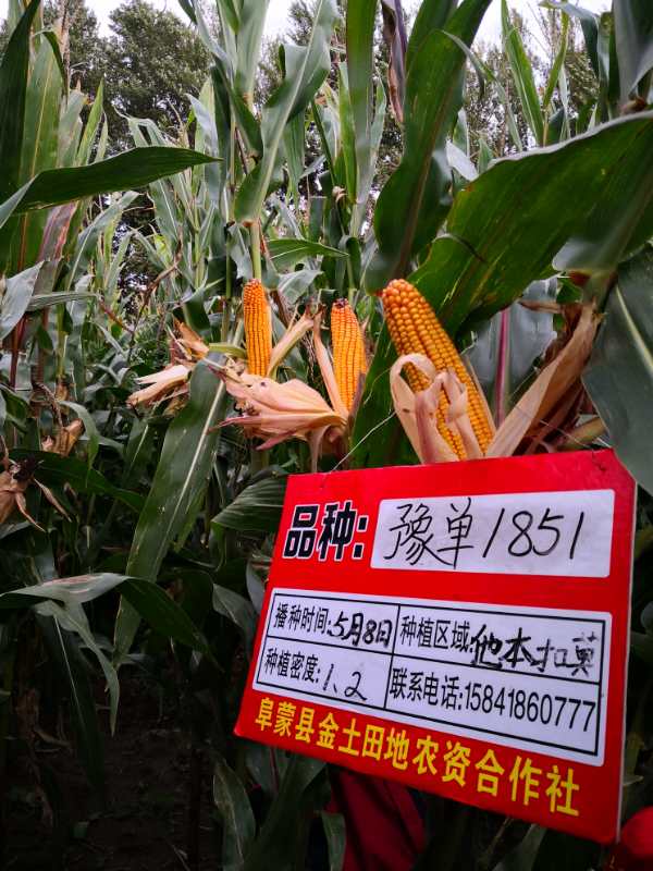 活动照片