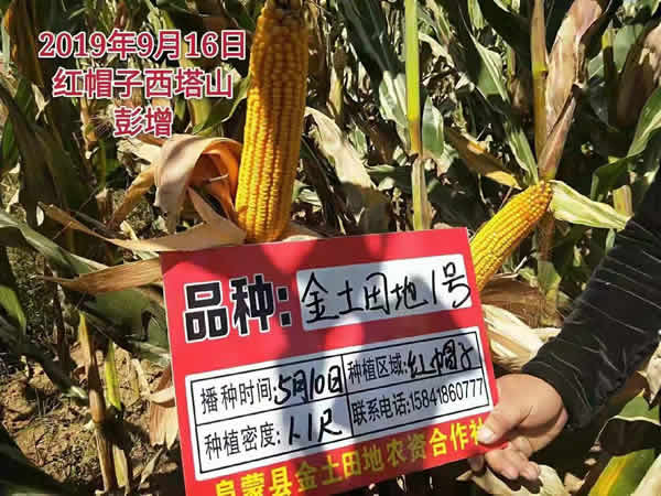 活动照片