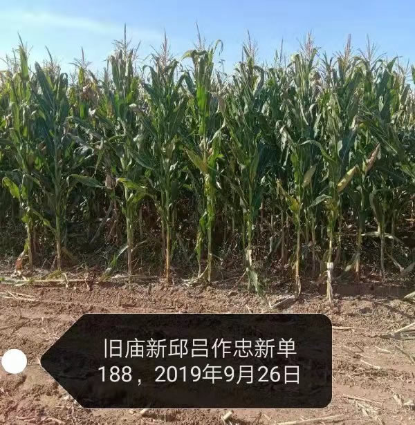 活动照片