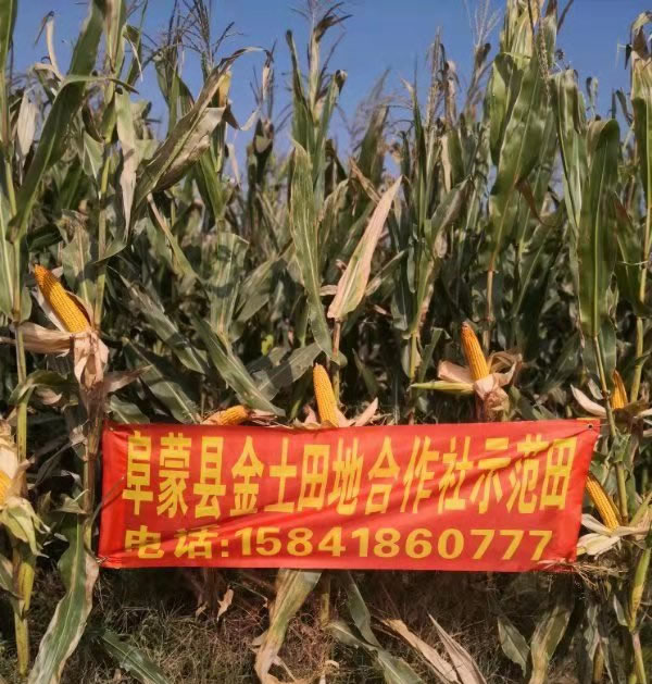 活动照片