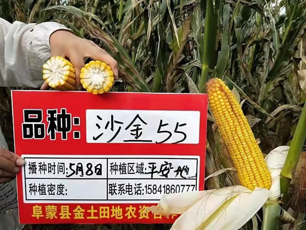 活动照片