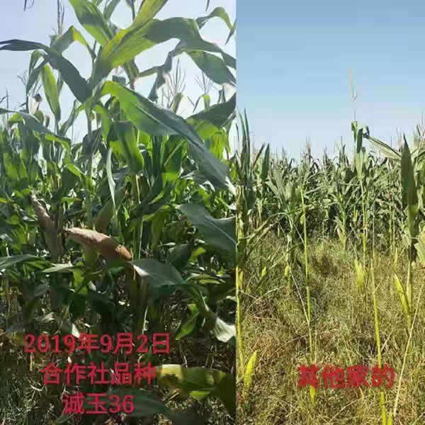 活动照片
