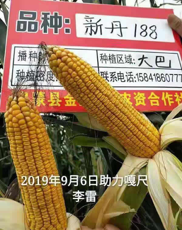 活动照片