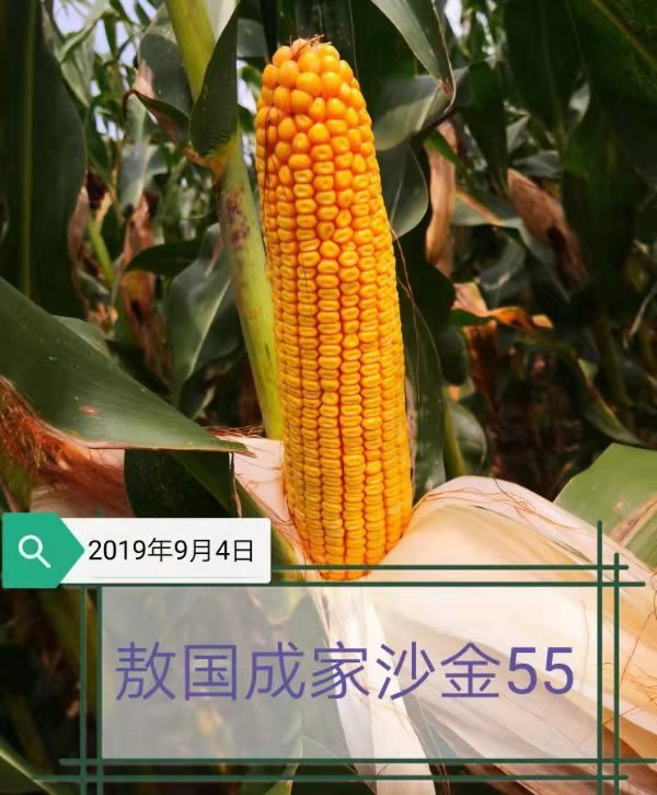 活动照片