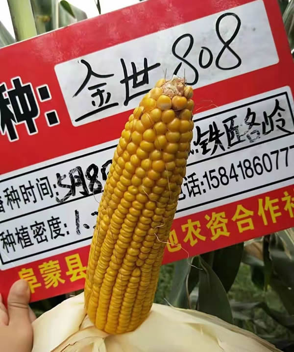 活动照片