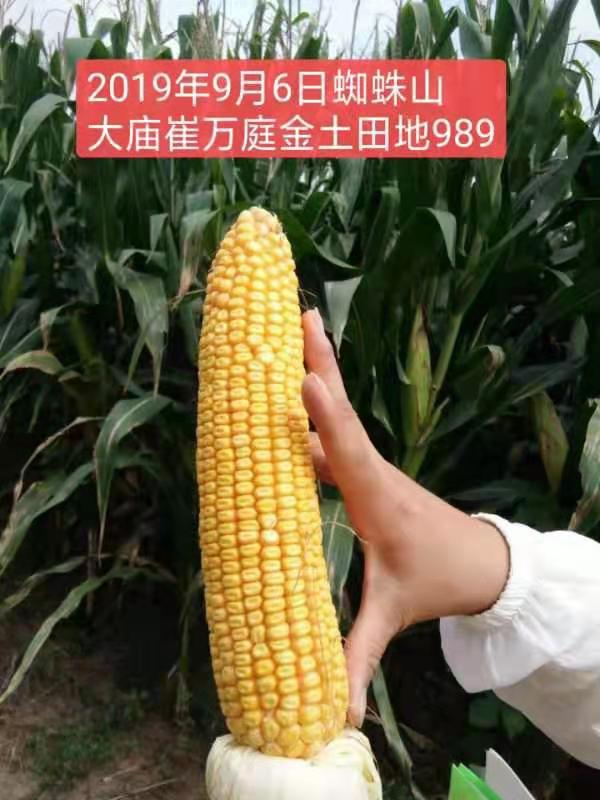 活动照片