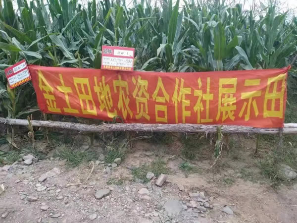 活动照片