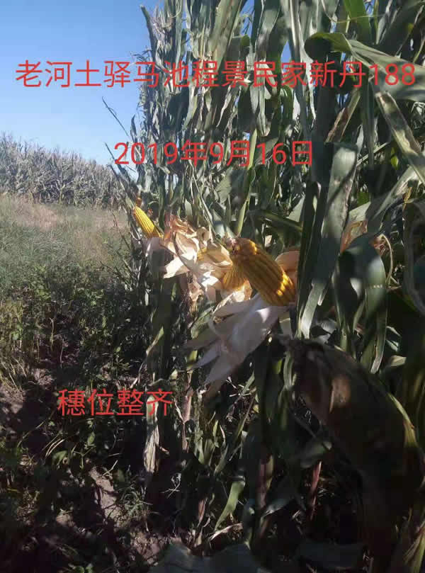 活动照片