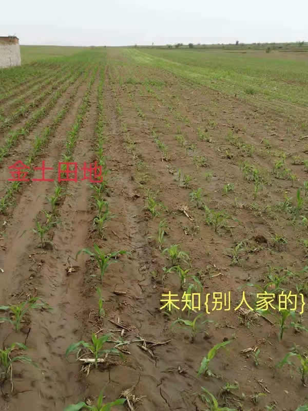 活动照片
