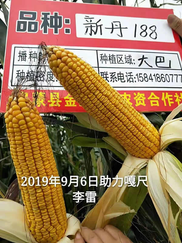 活动照片