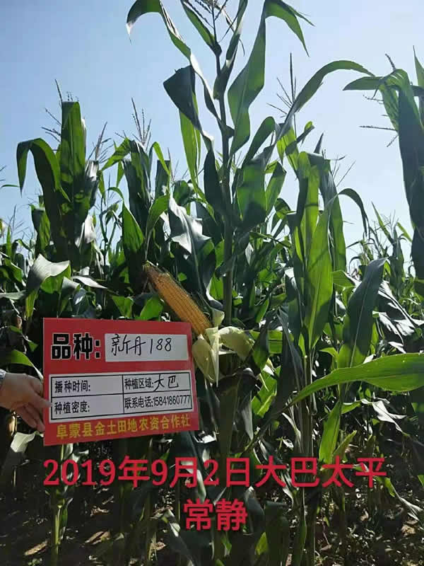 活动照片