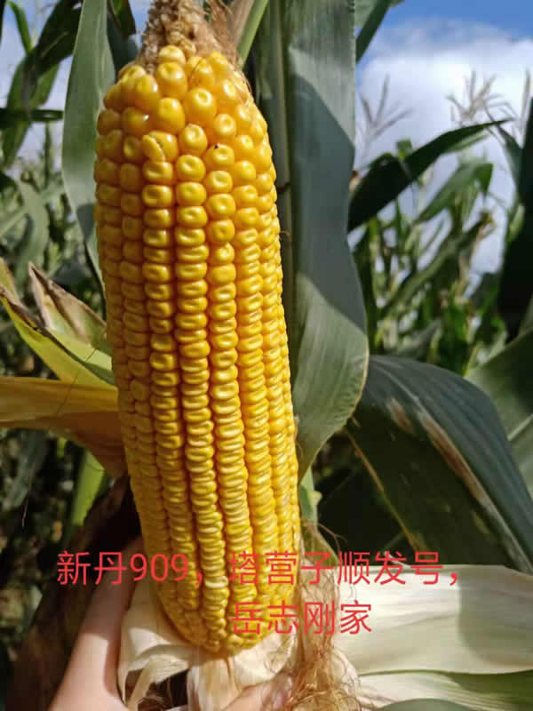 活动照片