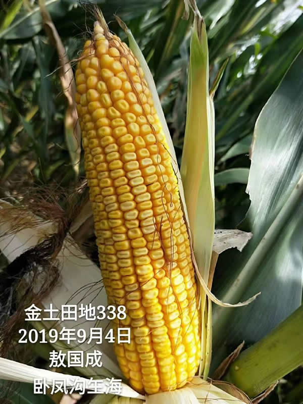 活动照片