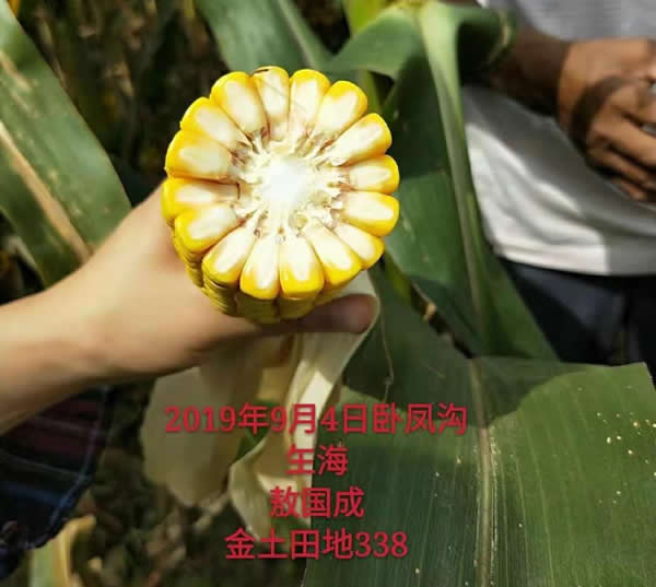 活动照片