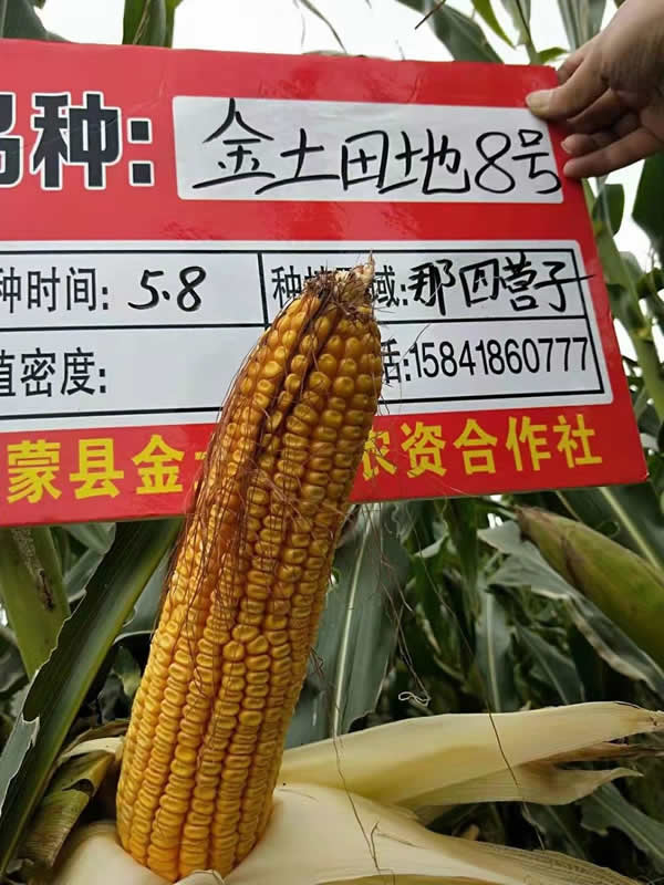 活动照片