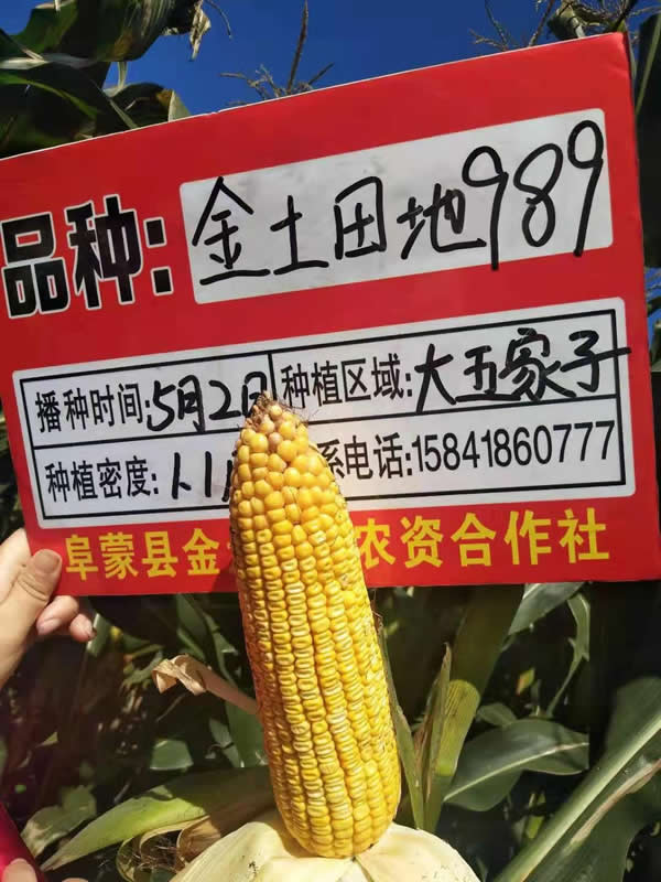 活动照片
