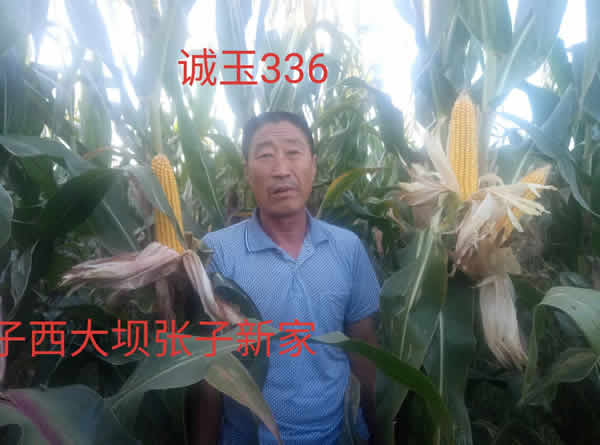 活动照片