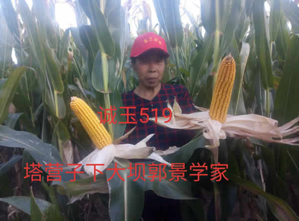 活动照片