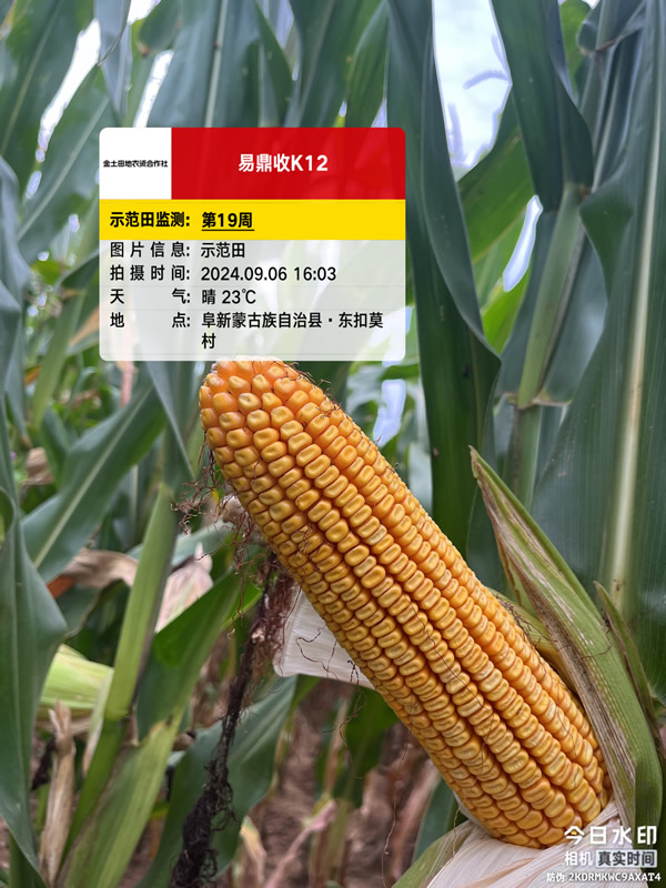 活动照片