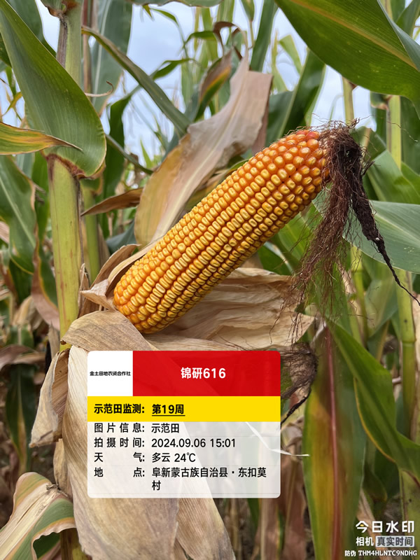 活动照片