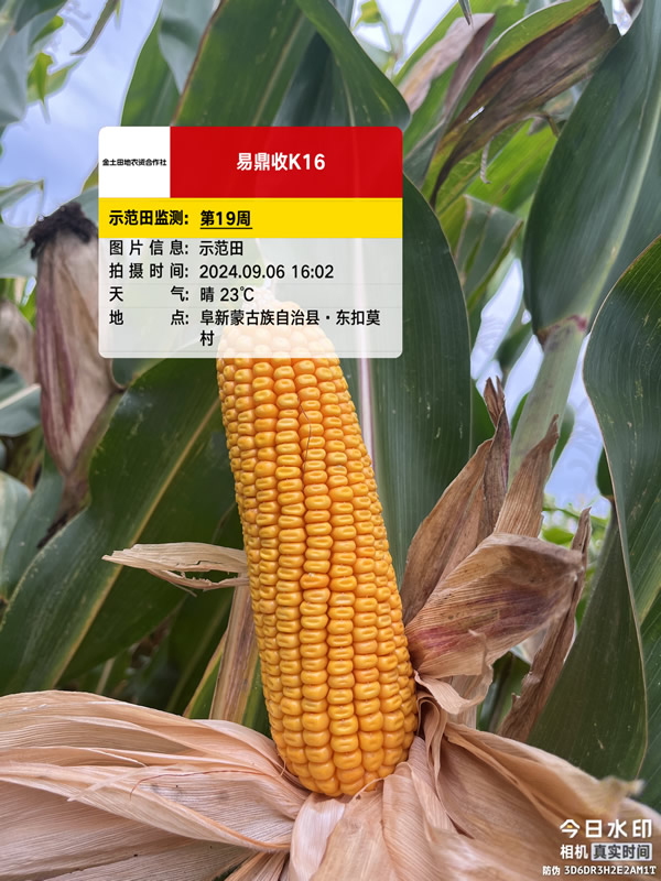 活动照片