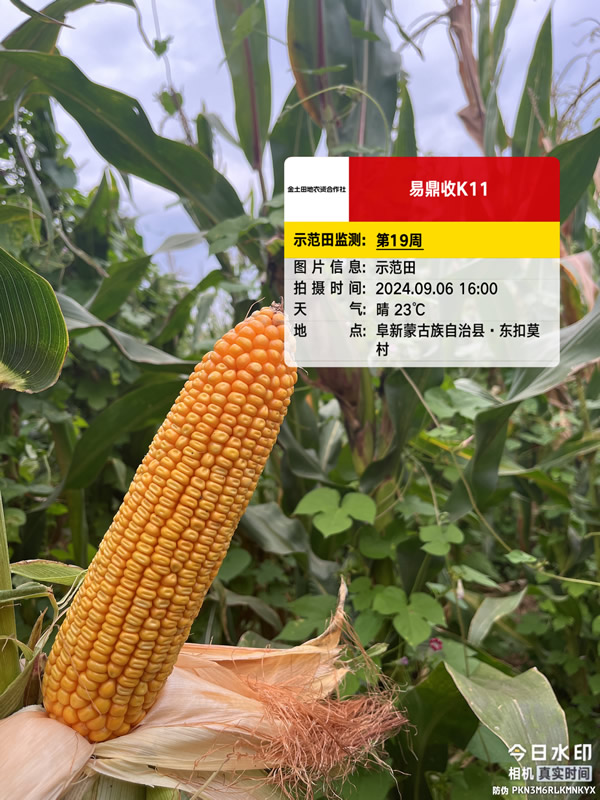 活动照片
