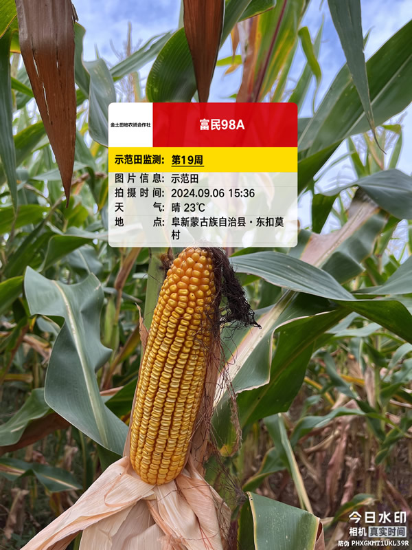 活动照片