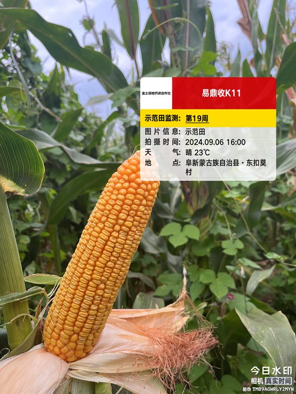 活动照片